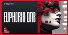 Euphoria DnB