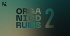 Organic Drums 2