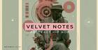 Velvet Notes - Abstract Hip Hop