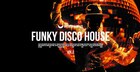 Funky Disco House Vol 2