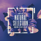 Ns cover
