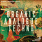 Wa organicanaloguetechno 1000x1000 web