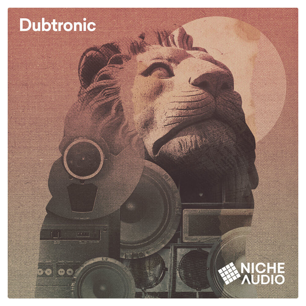 Dubtronic, Niche Audio, RoyaltyFree Samples, Dub & Reggae Sound Pack,
