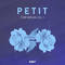 Aubit petit for serum vol 1  artwork 1000 serum presets