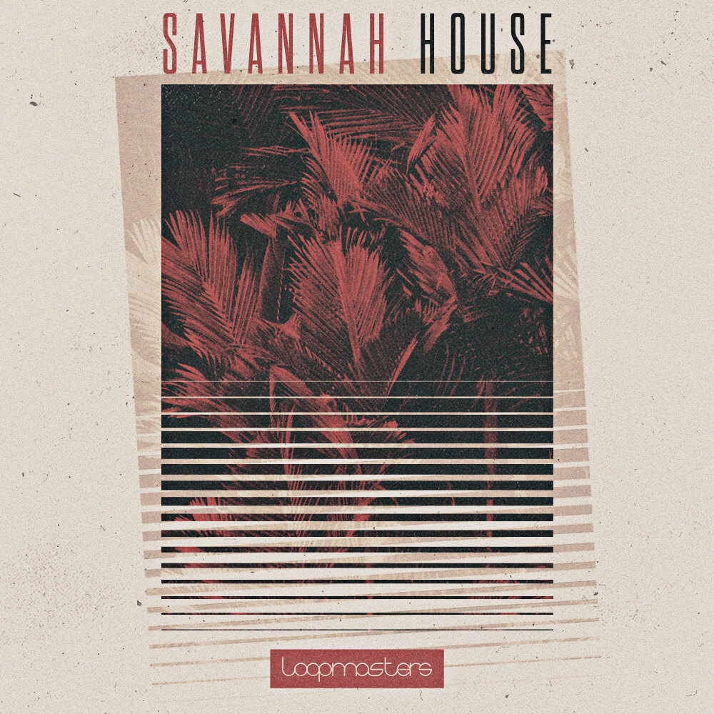 Royalty Free House Samples, Synth Chord Progressions, House Bass and