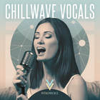 Royalty free vocal samples  chillwave vocals  lead and backing vocal loops  chilled electronica  downtempo vocals