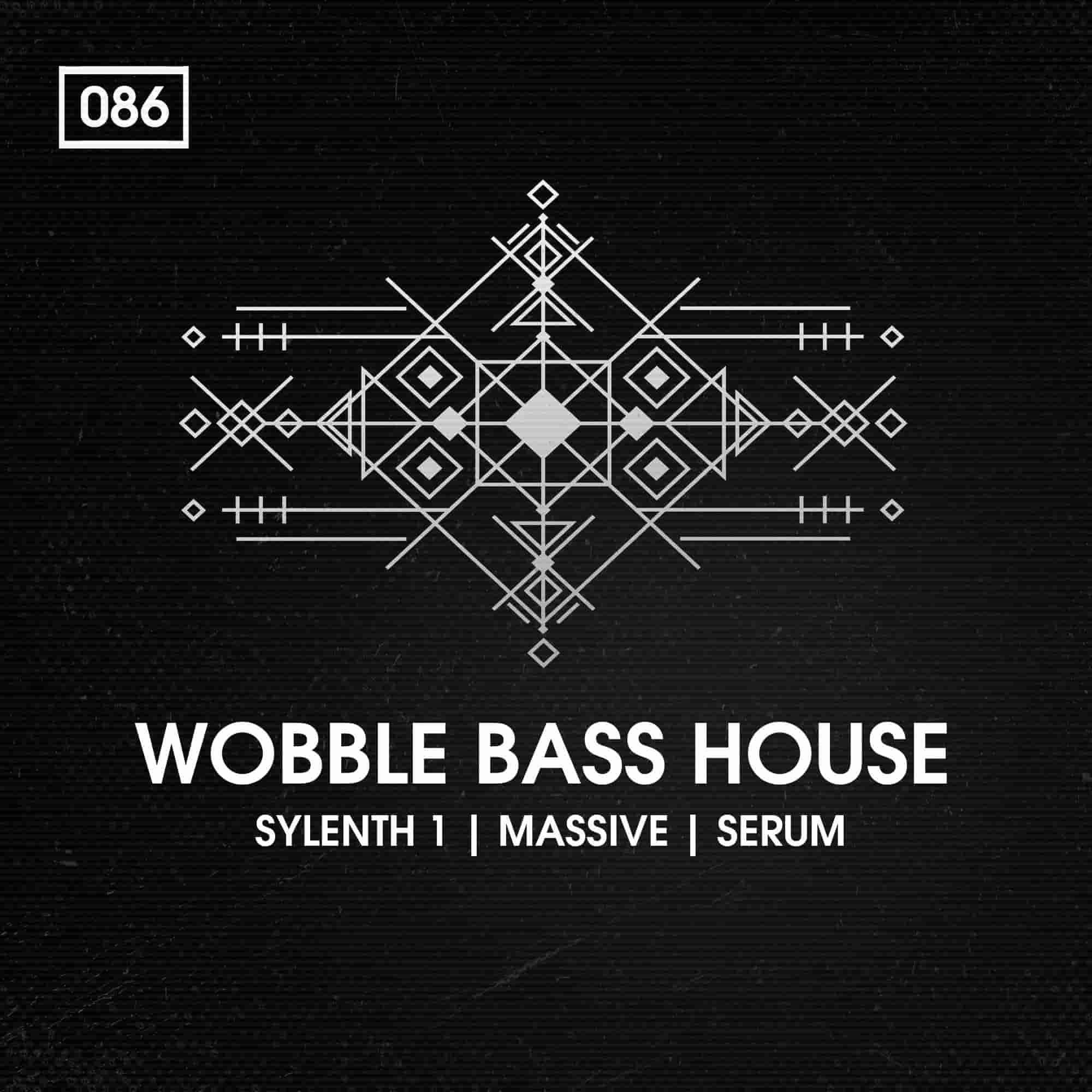 Bingoshakerz, Wobble Bass House, Synth Presets, Synth Presets For Bass