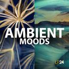 Lp24   ambient moods 1000x512 lq