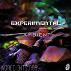 Experimental ambient   frinla1000x1000 web