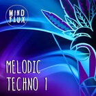 Mindflux melodic techno 1000x1000 web