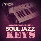 Royalty free soul samples  soul keys loops  neo soul rhodes loops  chord samples  jazz keys sounds