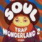 Ds soul trap wonderland 2 cover  lo