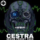 Gs cestra 1000 web