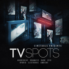 Ct tvs cover