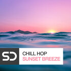 Royalty free downtempo samples  chillout instruments  chillout synth loops  bass hits  lo slung drum loops  chill beats at loopmasters.com