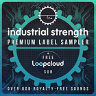 Isr premium label sampler loopcloud cover artwork