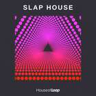 House of loop slap house cover artwork