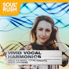 Soul rush records vivid vocal harmonics cover artwork