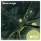Niche audio neuro jungle cover artwork