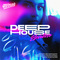 91vocals deep house elevation cover artwork