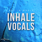 Aim audio inhale vocals cover artwork