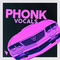 Dabro music phonk vocals cover artwork