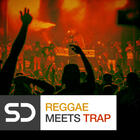 Royalty free reggae samples  deep sub bass sounds  reggae organs and piano loops   trap drums  brass ensemble loops  sax loops at loopmasters.com