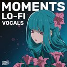 Vocal roads moments lofi vocals cover artwork