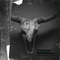 Bfractal music memphis horrorcore cover artwork