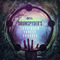 Black octopus sound drumspyder forbidden forest grooves cover artwrok