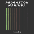 House of loop reggaeton marimba cover artwork