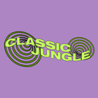 Undrgrnd sounds classic jungle cover artwork