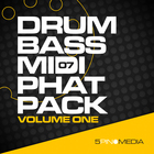 5pin media drum   bass plus midi phat pack cover artwork