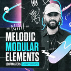 Royalty free house samples  modular synth house loops  modular drum loops  house atmospheres  house percussion loops  modular drum sounds at loopmasters.com