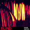 Blind audio house ignition cover