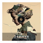 Zenhiser zephyr progressive breaks cover