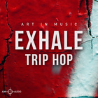 Aim audio exhale trip hop cover
