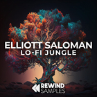 Rewind samples elliott saloman lofi jungle cover artwork