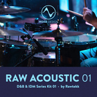 Noise design raw acoustic 01 cover