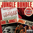 Renegade audio jungle bundle cover