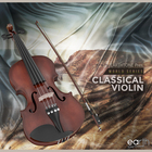 Earthtone classic violin cover