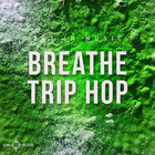 Aim audio breathe trip hop cover