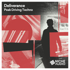 Niche audio deliverance peak driving techno cover