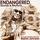 Industrial strength bashiri johnson endangered cover