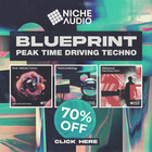 Niche audio blueprint bundle peak time driving techno cover
