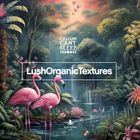 Black octopus sound lush organic textures cover