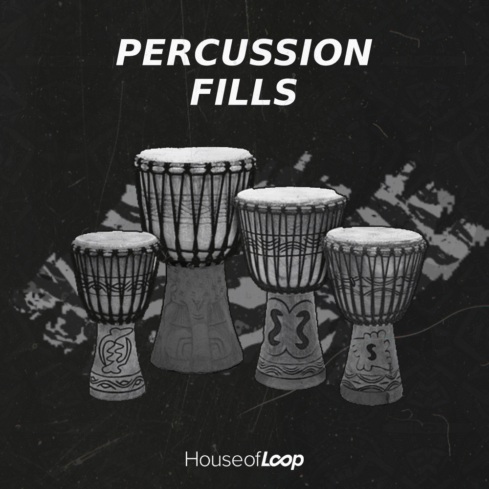 Percussion Fills, House Of Loop, RoyaltyFree Samples, Copyright Free