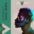 Royalty free dancehall samples  african vocals  dancehall vocal loops  male vocal loops at loopmasters.com
