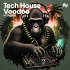 Hy2rogen tech house voodoo cover