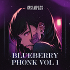 21strxxt samples blueberry phonk volume 1 cover
